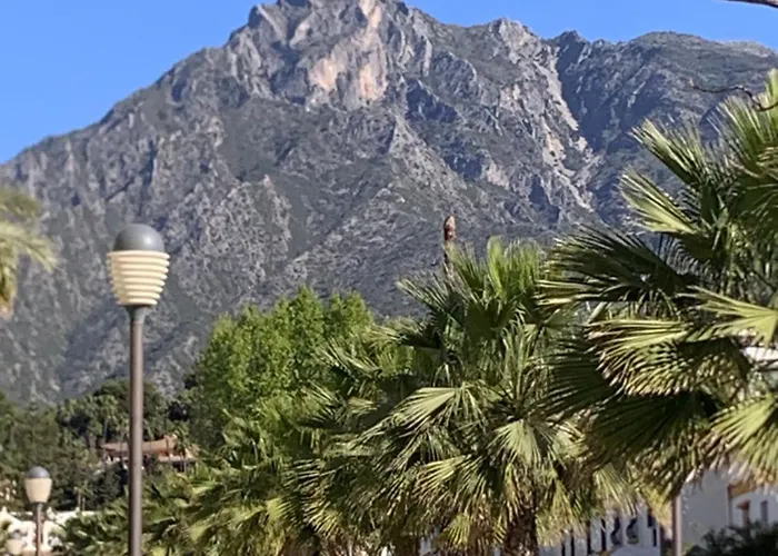 Margarita ماربيا